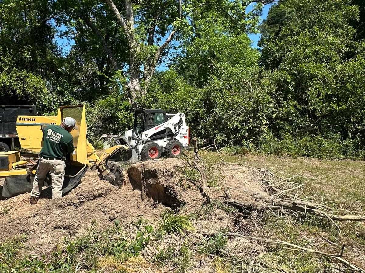 El Costeño Tree Service LLC